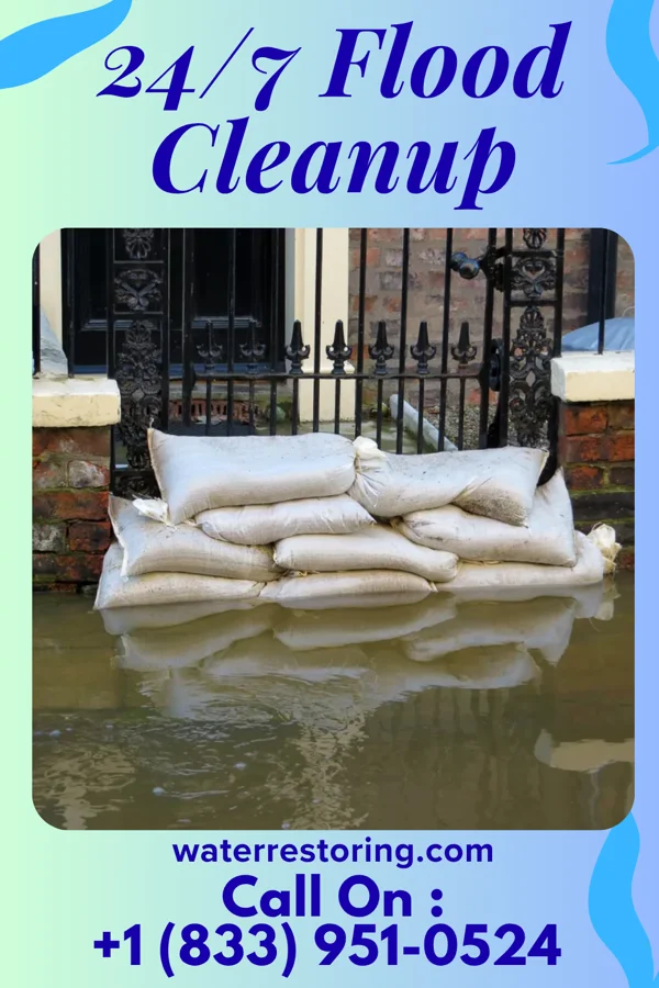 24/7 Flood Cleanup in Live Oak, TX