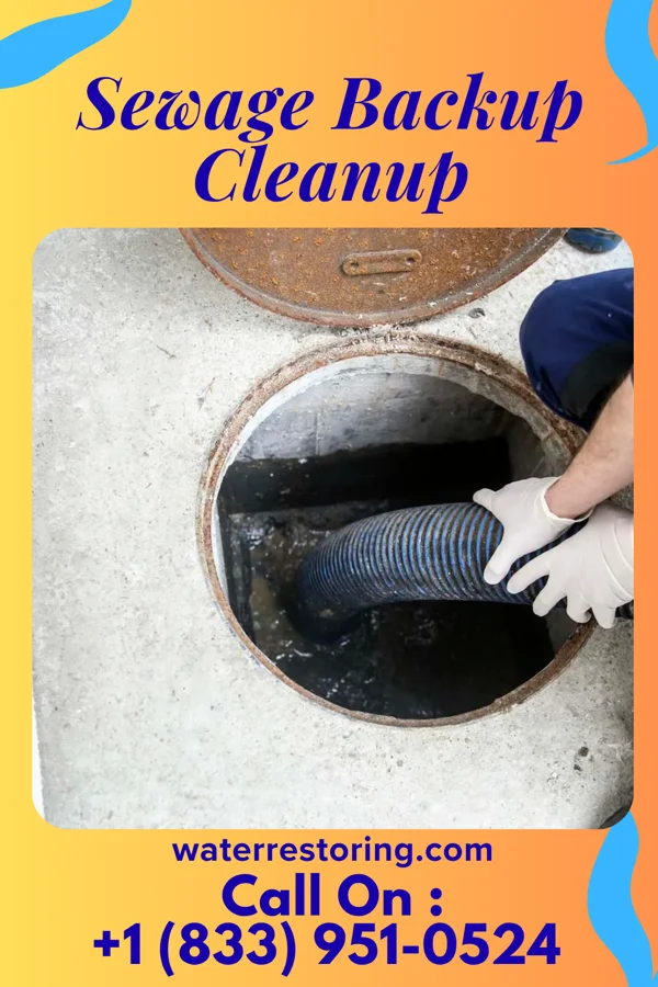 Sewage Backup Cleanup in Live Oak, TX